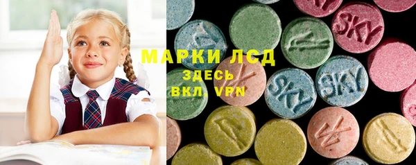 ПСИЛОЦИБИНОВЫЕ ГРИБЫ Болхов