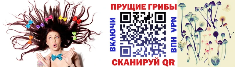 Псилоцибиновые грибы Psilocybe  Новотроицк 